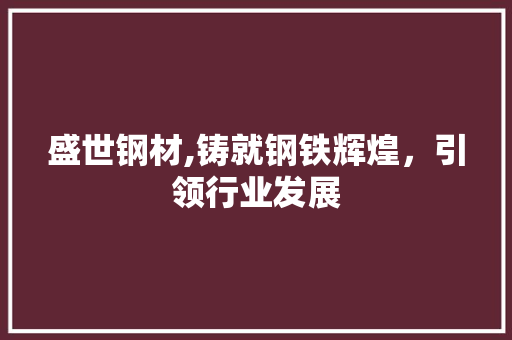 盛世钢材,铸就钢铁辉煌，引领行业发展