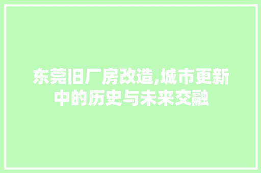东莞旧厂房改造,城市更新中的历史与未来交融
