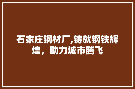 石家庄钢材厂,铸就钢铁辉煌，助力城市腾飞