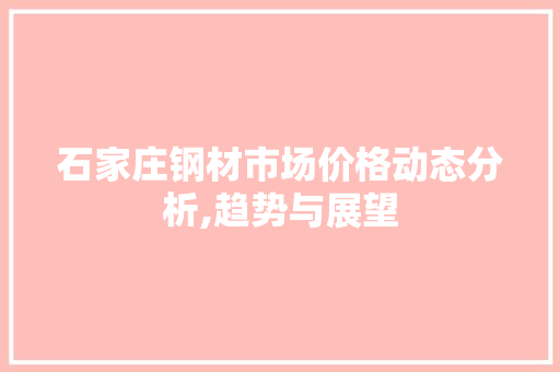 石家庄钢材市场价格动态分析,趋势与展望