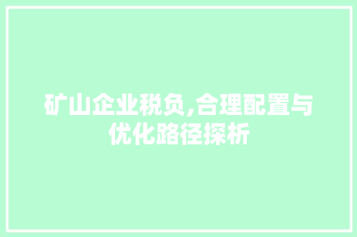 矿山企业税负,合理配置与优化路径探析
