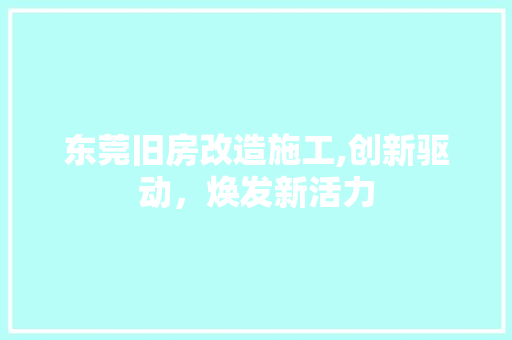东莞旧房改造施工,创新驱动，焕发新活力