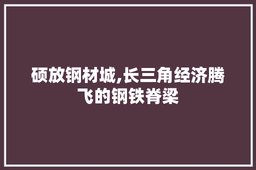 硕放钢材城,长三角经济腾飞的钢铁脊梁