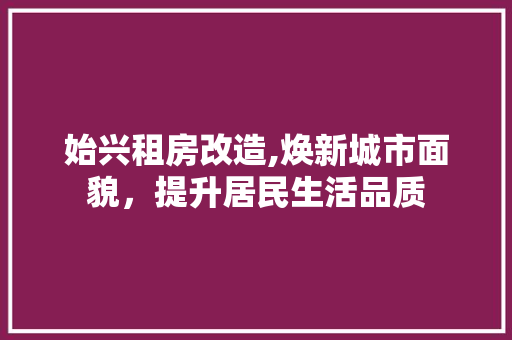 始兴租房改造,焕新城市面貌，提升居民生活品质
