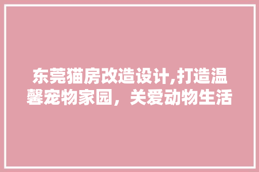 东莞猫房改造设计,打造温馨宠物家园，关爱动物生活新篇章