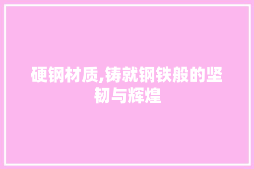 硬钢材质,铸就钢铁般的坚韧与辉煌