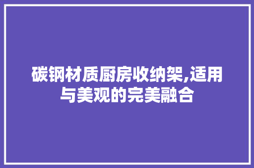 碳钢材质厨房收纳架,适用与美观的完美融合