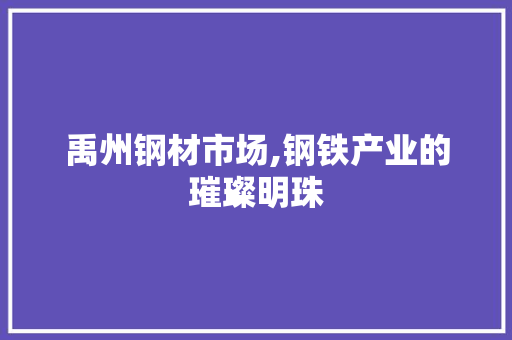 禹州钢材市场,钢铁产业的璀璨明珠