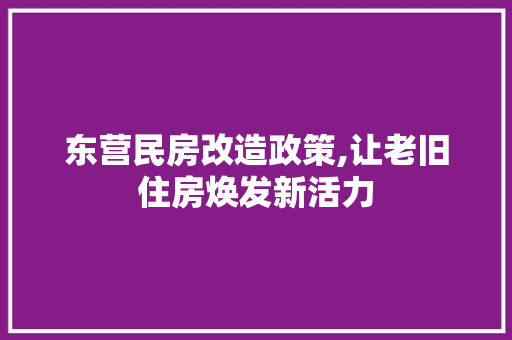 东营民房改造政策,让老旧住房焕发新活力