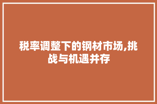 税率调整下的钢材市场,挑战与机遇并存