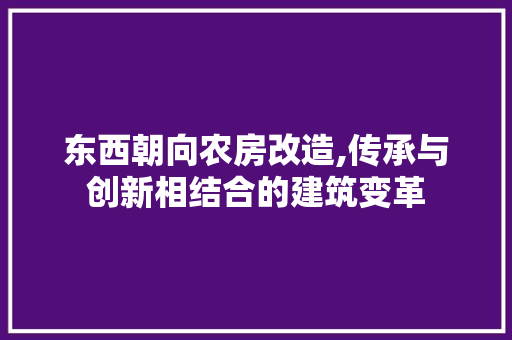 东西朝向农房改造,传承与创新相结合的建筑变革