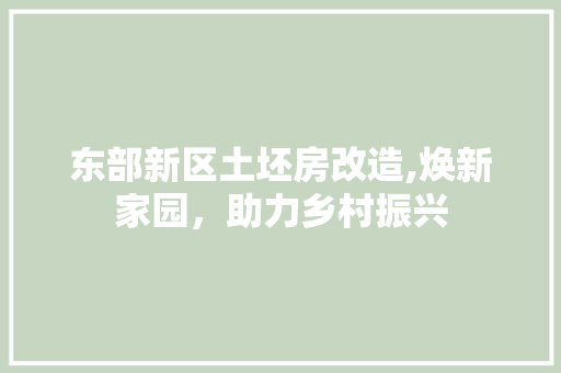 东部新区土坯房改造,焕新家园，助力乡村振兴