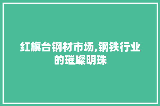 红旗台钢材市场,钢铁行业的璀璨明珠