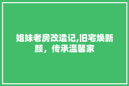 姐妹老房改造记,旧宅焕新颜，传承温馨家