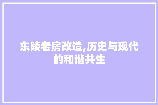 东陵老房改造,历史与现代的和谐共生