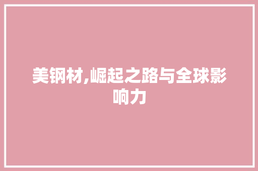 美钢材,崛起之路与全球影响力