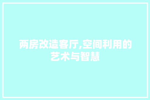 两房改造客厅,空间利用的艺术与智慧