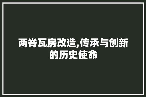 两脊瓦房改造,传承与创新的历史使命
