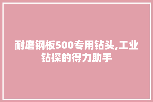 耐磨钢板500专用钻头,工业钻探的得力助手
