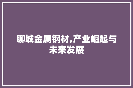 聊城金属钢材,产业崛起与未来发展
