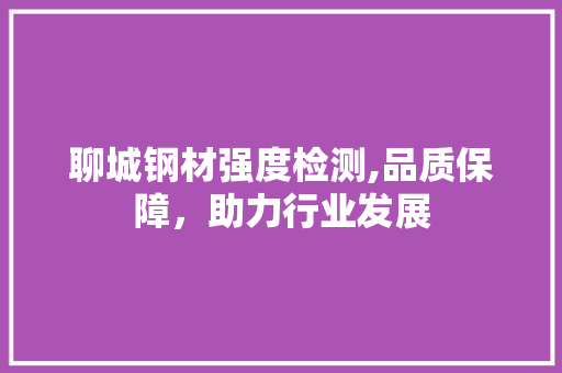 聊城钢材强度检测,品质保障，助力行业发展