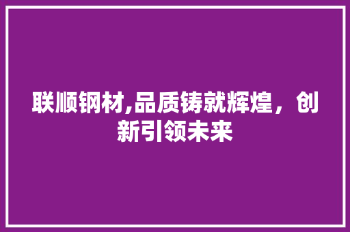 联顺钢材,品质铸就辉煌，创新引领未来