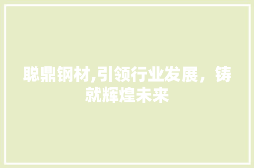 聪鼎钢材,引领行业发展，铸就辉煌未来