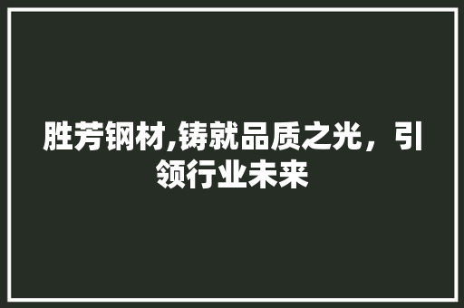 胜芳钢材,铸就品质之光，引领行业未来