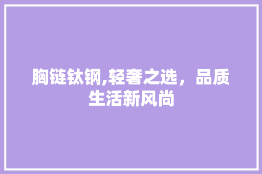 胸链钛钢,轻奢之选，品质生活新风尚