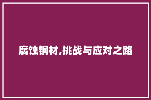 腐蚀钢材,挑战与应对之路