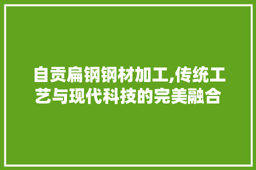 自贡扁钢钢材加工,传统工艺与现代科技的完美融合
