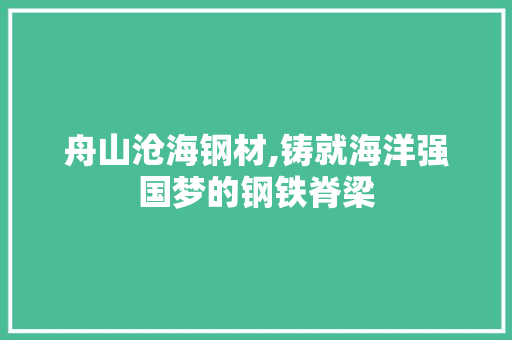 舟山沧海钢材,铸就海洋强国梦的钢铁脊梁