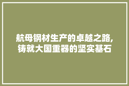 航母钢材生产的卓越之路,铸就大国重器的坚实基石