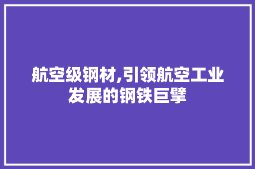 航空级钢材,引领航空工业发展的钢铁巨擘