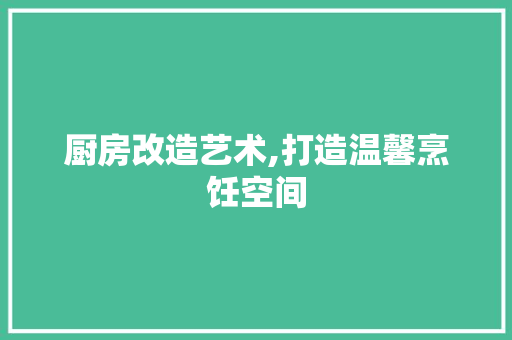 厨房改造艺术,打造温馨烹饪空间