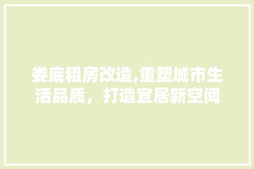 娄底租房改造,重塑城市生活品质，打造宜居新空间