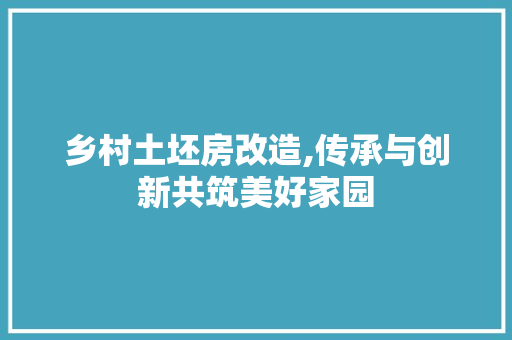 乡村土坯房改造,传承与创新共筑美好家园