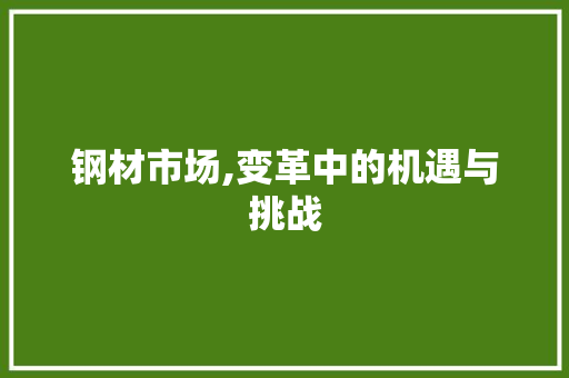 钢材市场,变革中的机遇与挑战