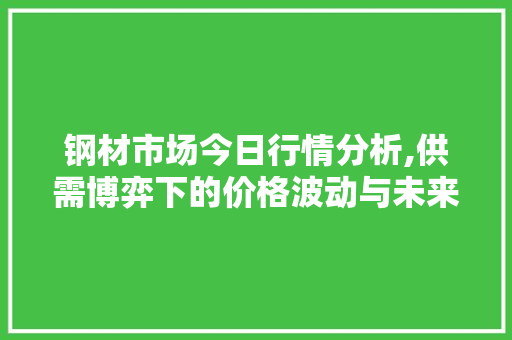 钢材市场今日行情分析,供需博弈下的价格波动与未来趋势