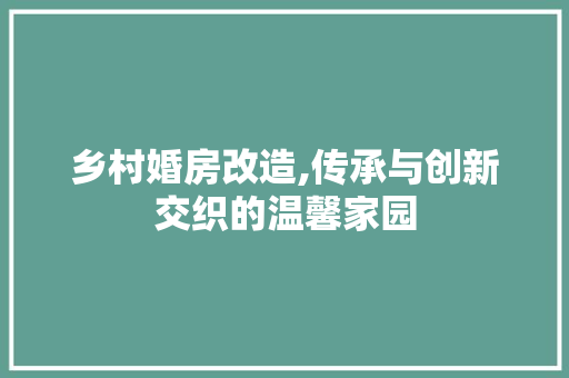 乡村婚房改造,传承与创新交织的温馨家园