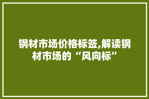 钢材市场价格标签,解读钢材市场的“风向标”