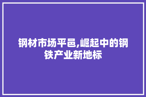 钢材市场平邑,崛起中的钢铁产业新地标
