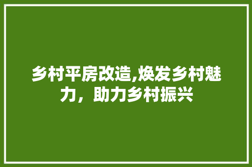 乡村平房改造,焕发乡村魅力，助力乡村振兴