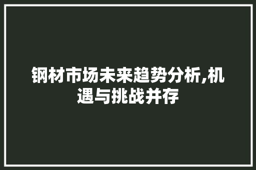 钢材市场未来趋势分析,机遇与挑战并存