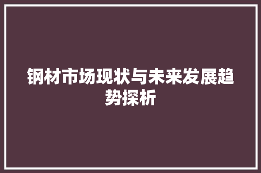钢材市场现状与未来发展趋势探析