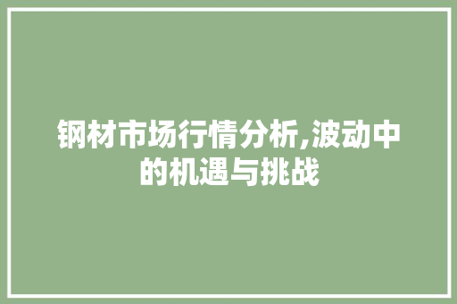 钢材市场行情分析,波动中的机遇与挑战