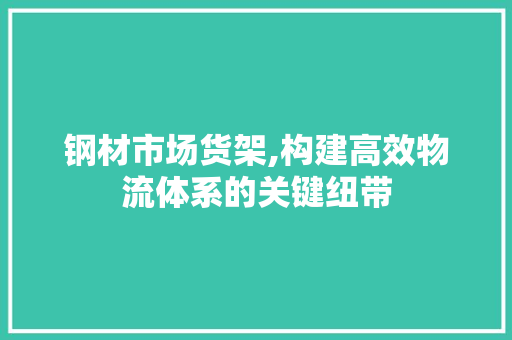 钢材市场货架,构建高效物流体系的关键纽带