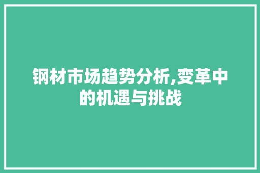 钢材市场趋势分析,变革中的机遇与挑战