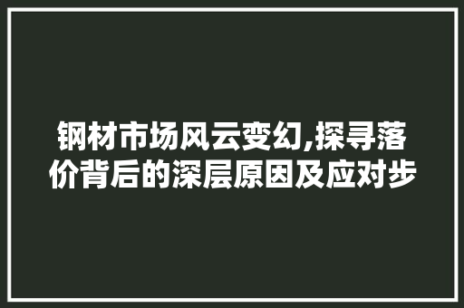 钢材市场风云变幻,探寻落价背后的深层原因及应对步骤