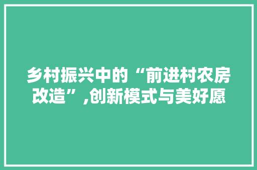 乡村振兴中的“前进村农房改造”,创新模式与美好愿景